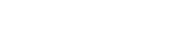 PKF Issing Logo